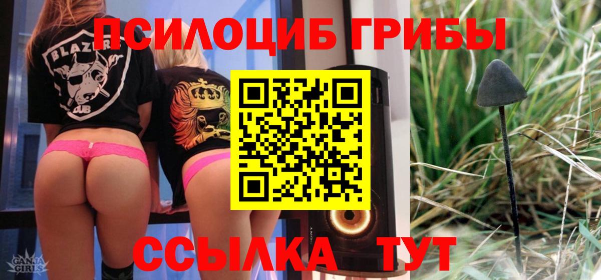 Псилоцибиновые грибы Magic Shrooms Людиново