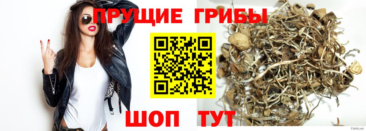 Псилоцибиновые грибы Cubensis  купить наркоту  Галлюциногенные грибы прущие грибы  Людиново  Вход с VPN 