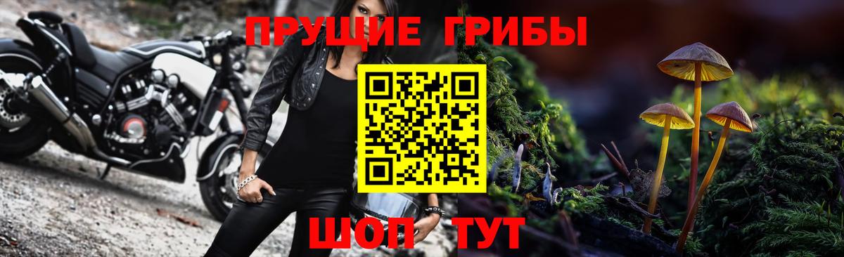 Галлюциногенные грибы Psilocybine cubensis Людиново