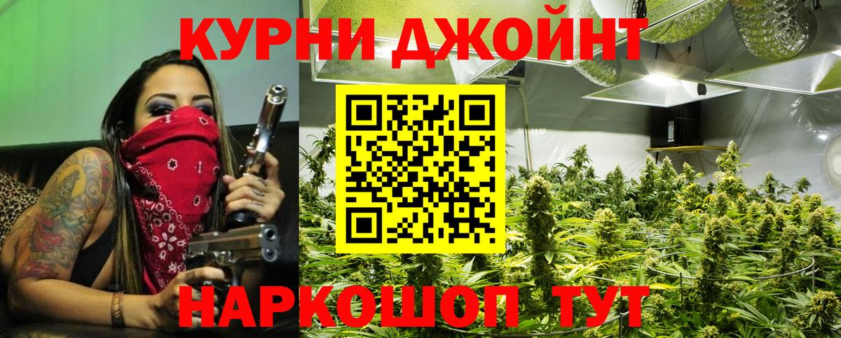 Каннабис планчик Людиново